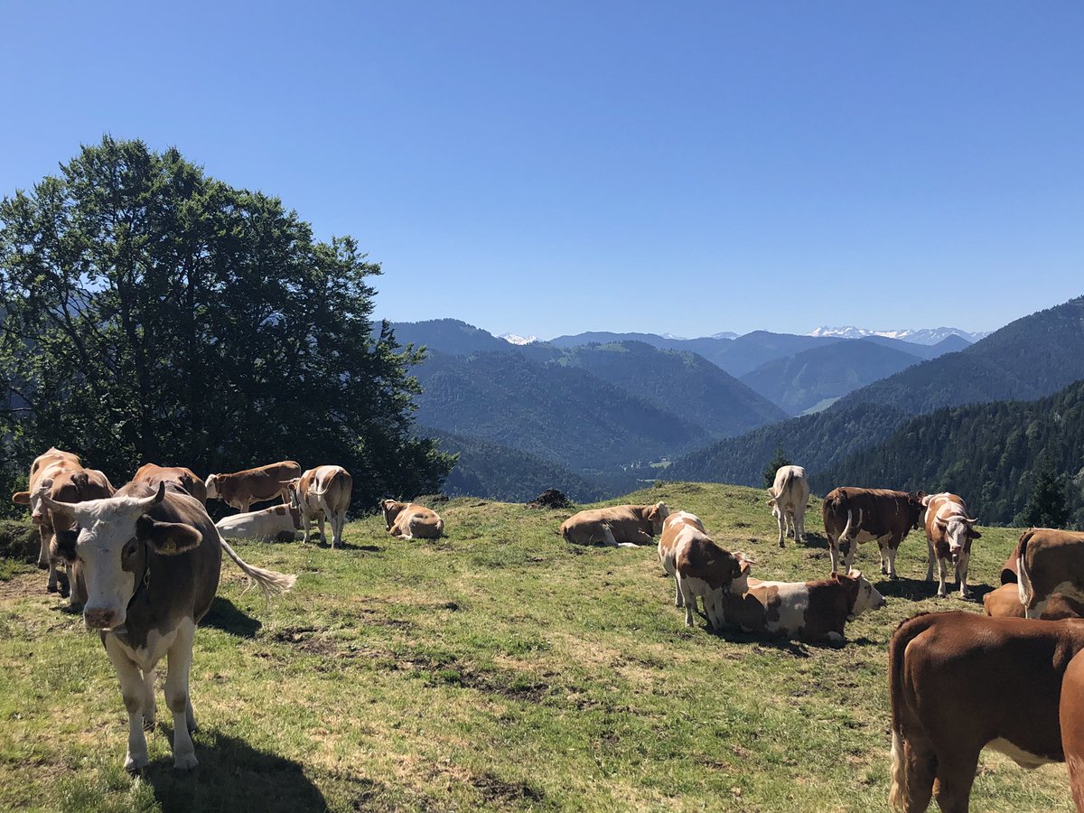Was für ein Himmel! #Seebergumrundung #Bayrischzell
