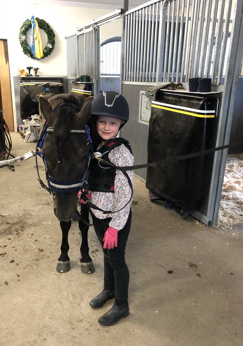 RiggoIda's tweet photo. Barbackatur med ponnyerna 😍💙💚 #maxter #conny #teamkarlsson #gotlandsruss #minishettis #ponny #sötnosar #älskarhästar https://t.co/UcnXfJfGVq