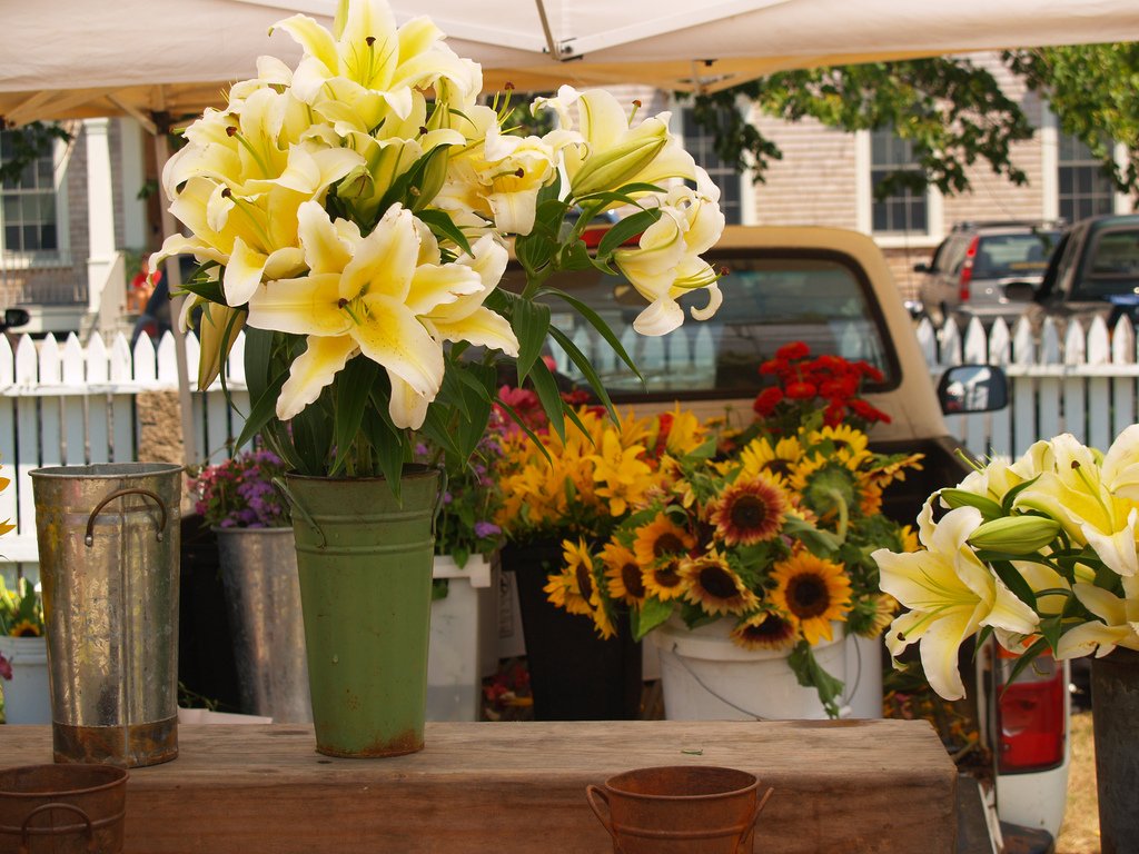 Celebrate Summer! - mailchi.mp/vineyardsquare…

#VineyardSquare
#VineyardSquareHotel