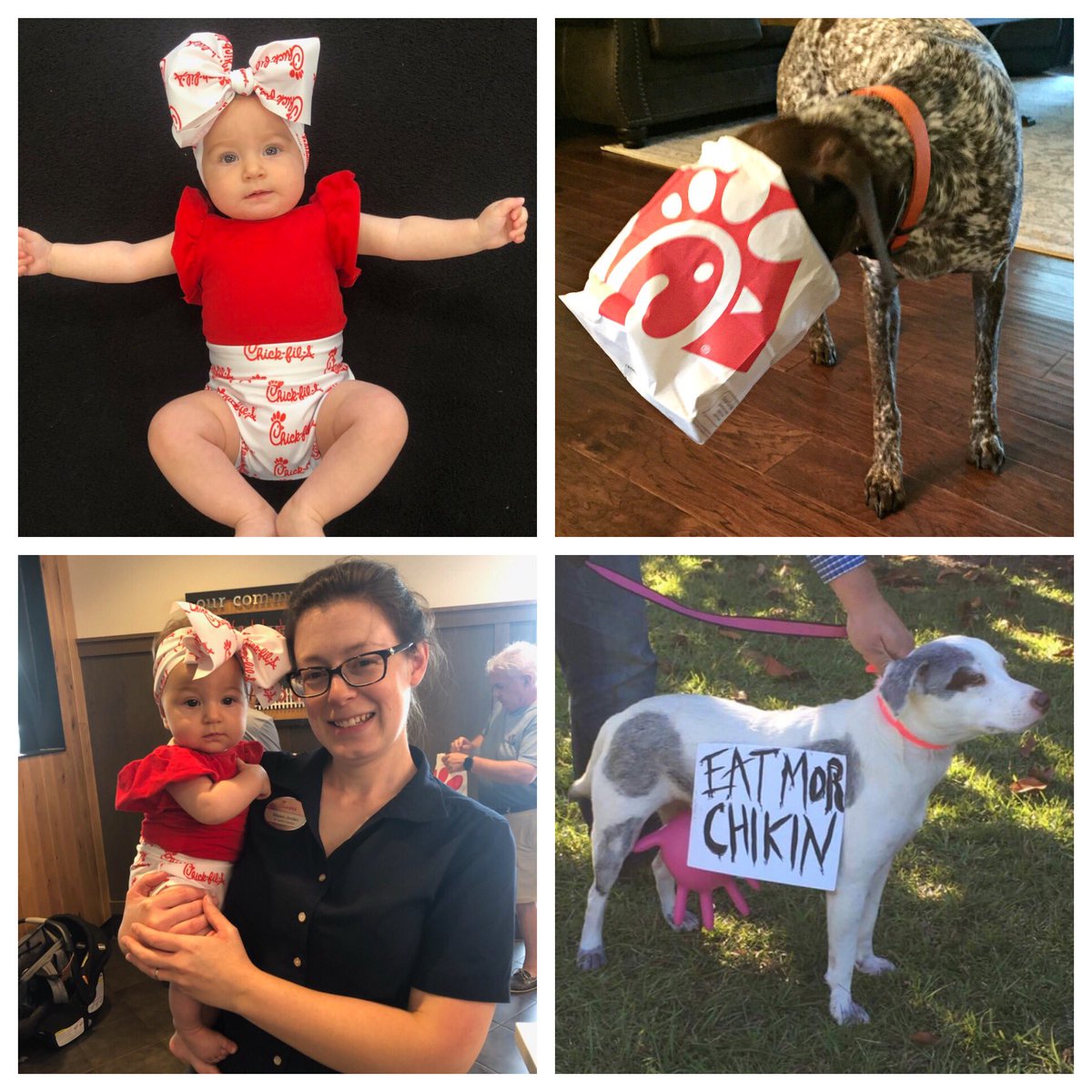 cfamayfaire's tweet photo. Who are you giving your last fry to? #TeamBaby #TeamDog #Chickfila ❤️🍴🐔 https://t.co/pcVcQIjH7i
