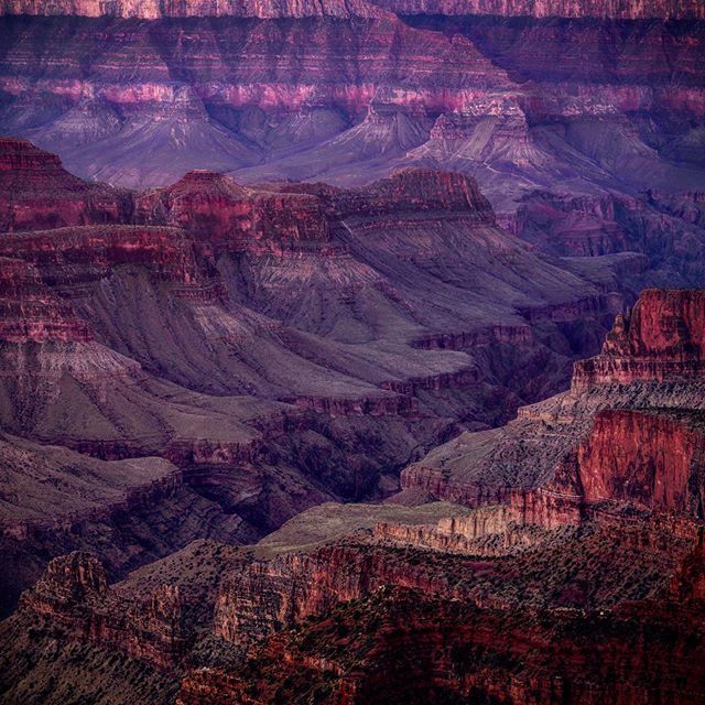 frankvazquez's tweet photo. #grandcanyon #northrim #arizona #southwest #sunrise https://t.co/LA5QW6zsYs https://t.co/IQZK3bLPTU