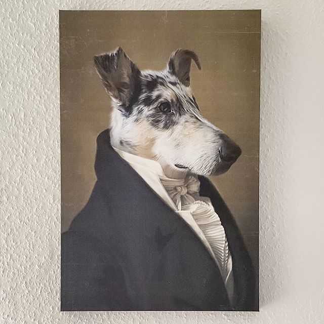 Mysterons's tweet photo. Als Geburtstaggeschenk der Liebsten ihren #Wauz als Gemälde anfertigen lassen.
Es ist wirklich fantastisch gut geworden.

@crownandpaw #crownandpaw #painting #gemälde #dog #hund #portrait #doggo #doggi #collie #kurzhaarcollie #smoothcollie https://t.co/D3nd3cnkla https://t.co/BoF6Dw62dV