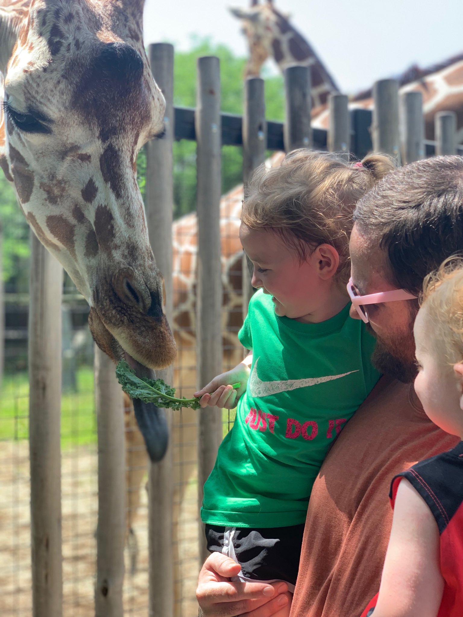 Alex Teater on Twitter "Feeding the giraffes at ⁦brookfield_zoo⁩ ! 