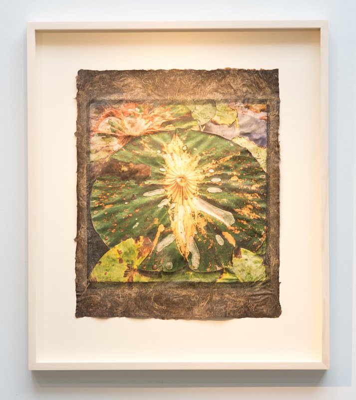 St. Louis artist Megan Singleton shared TO REST WITHOUT SINKING in our current exhibition #leafingthroughhistory #plantsthatmakepaper All the sculptures and prints are made with handmade paper of American lotus, an invasive species in MO megansingleton.com/to-rest-withou…