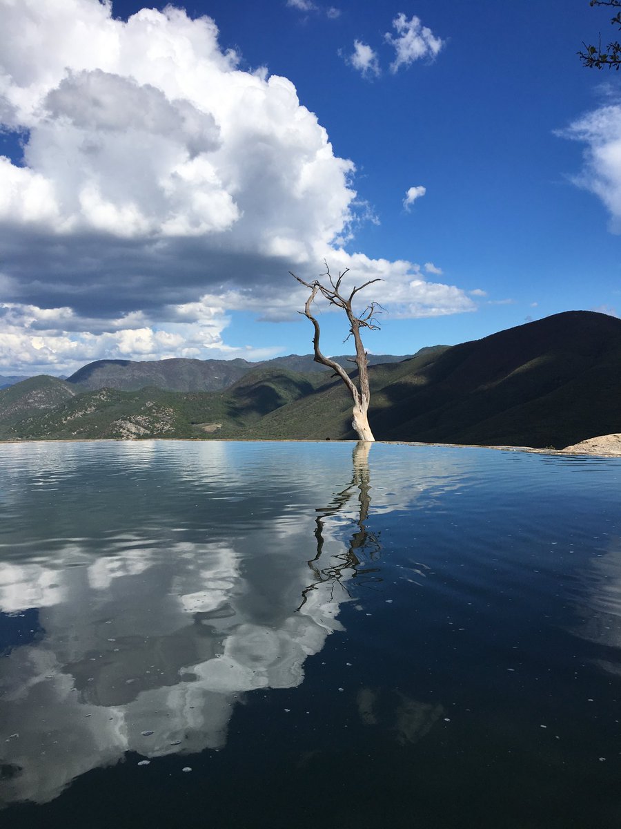 Veronica Dela Rosa tweet media