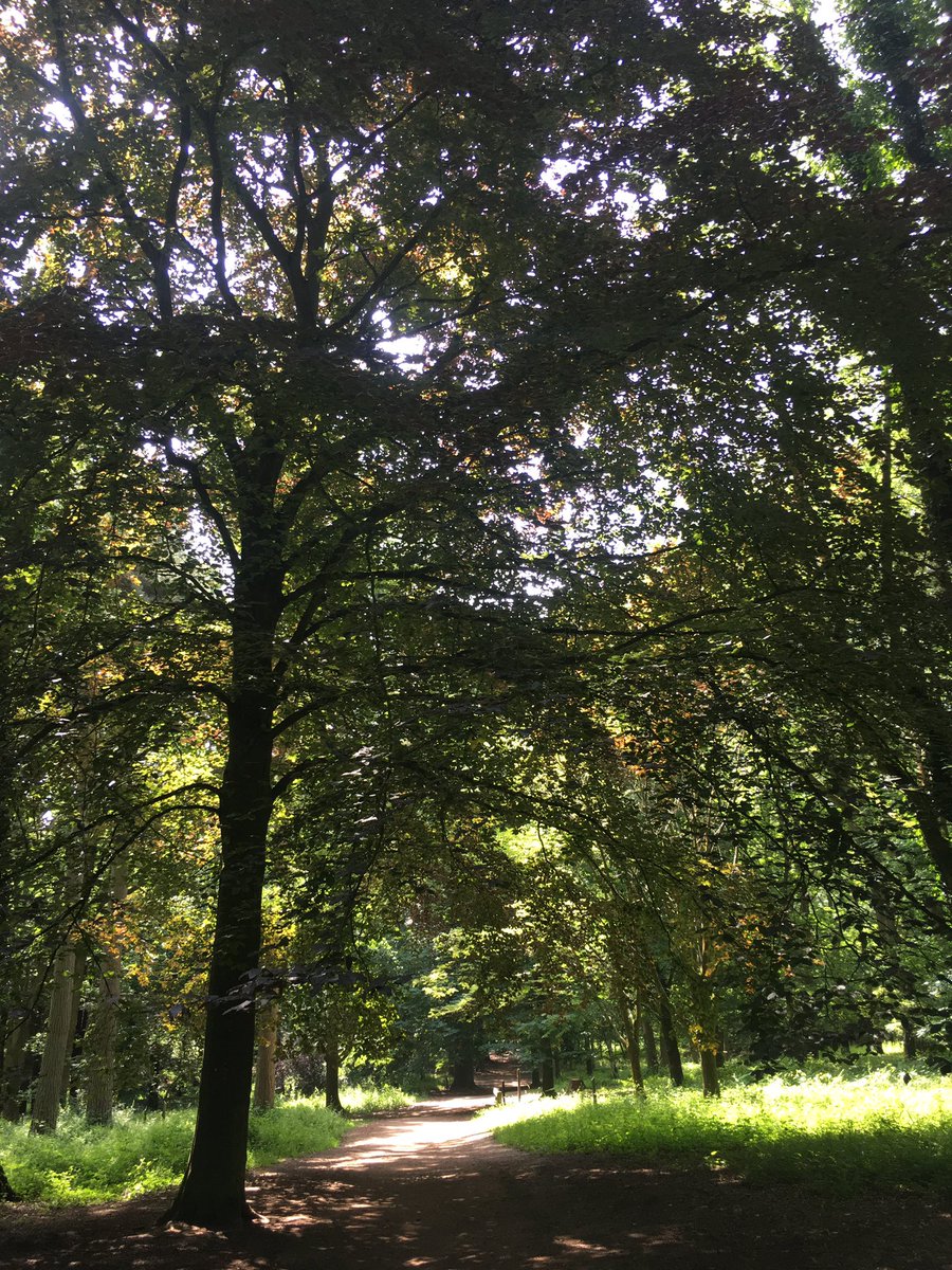 sallyjwatson's tweet photo. Herefordshire scrubs up well in the sunshine #walkswithdad #DementiaRevolution https://t.co/6Hg7oNlmqo