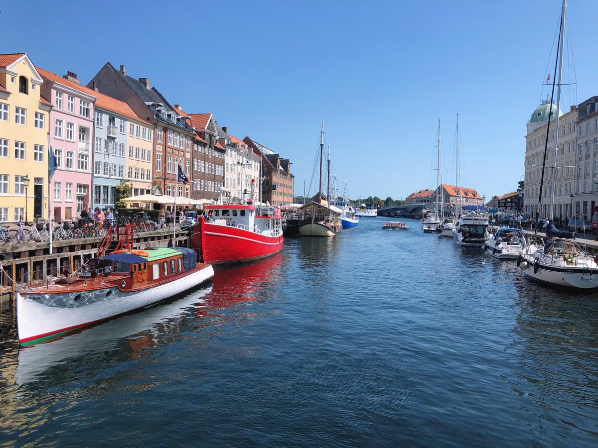 jelfish67's tweet image. #UnityHackweek is all wrapped up!

Tonight is my last chance to eat all of Denmark’s sea creatures!