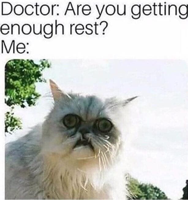 ecologistprobs's tweet photo. https://t.co/ivfn9pUuVO