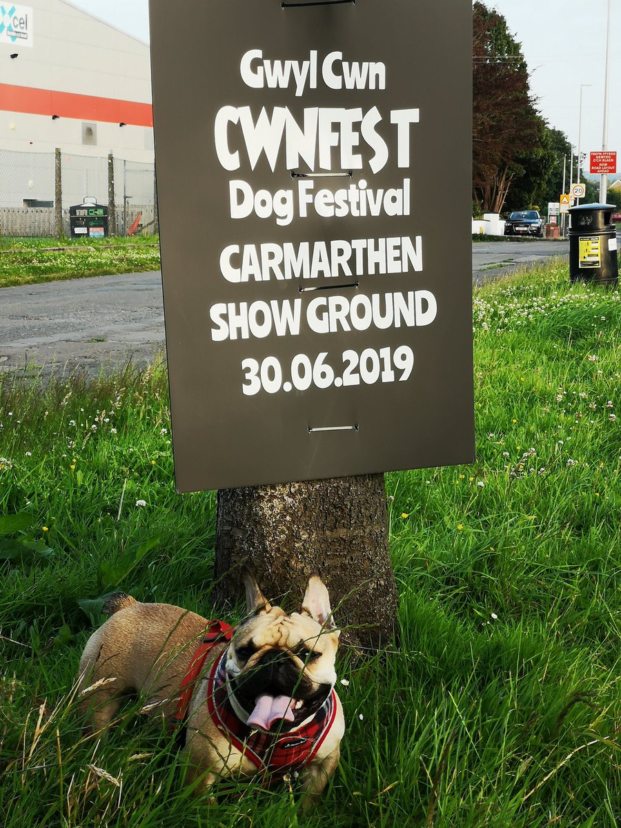 Excited to see everyone at Cwnfest tomorrow, come and see our stand of super food treats for your canine friend #cwnfest #carmarthenshowground #getfruity #doggies #frenchbulldogbusciit #biscuitsbarkery #dogshow #dogfestival