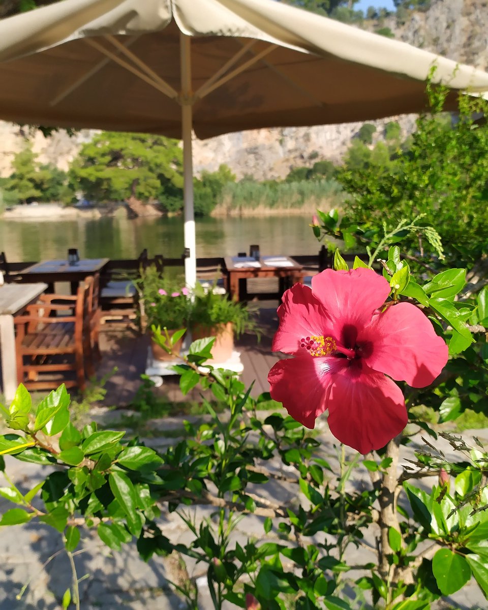 Book our hotel and apartments directly from aydoshotels.com

#dalyan #holiday #Turkey