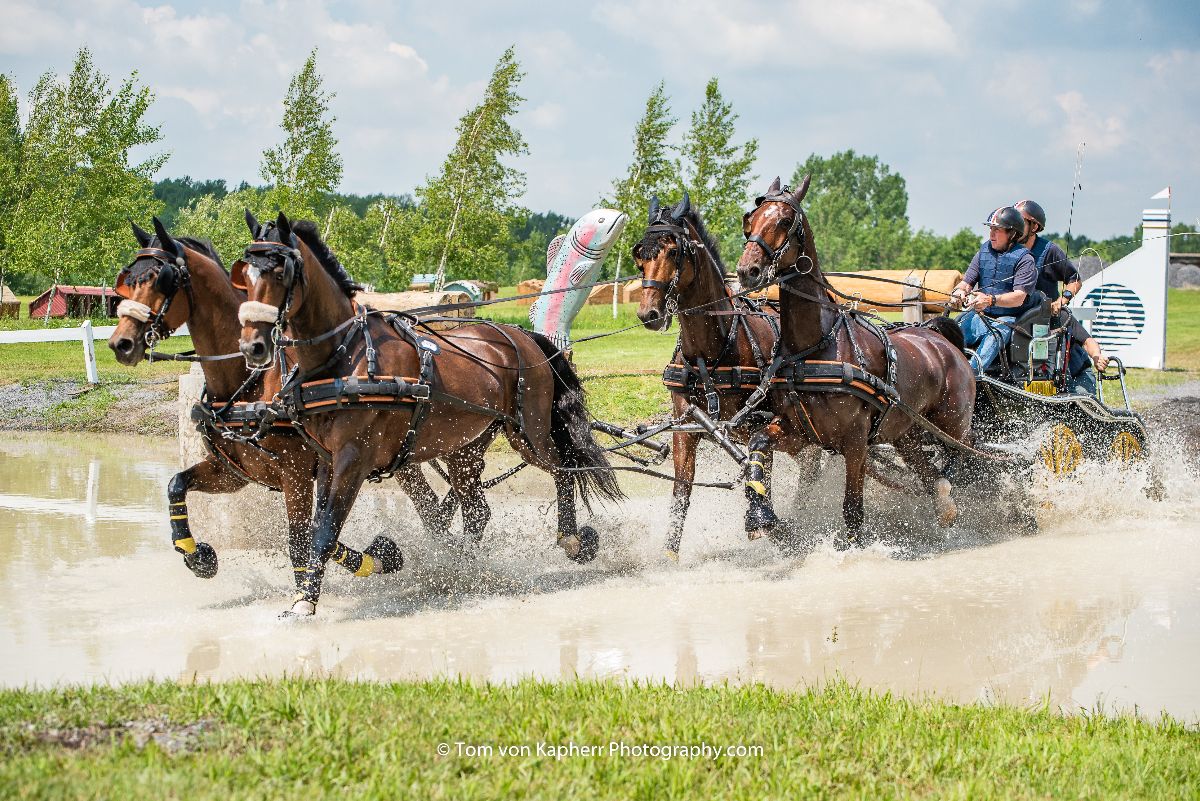 Attelage Bromont 2019 : la grande finale demain / Bromont Driving 2019 : Grand Finale tomorrow - mailchi.mp/internationalb…