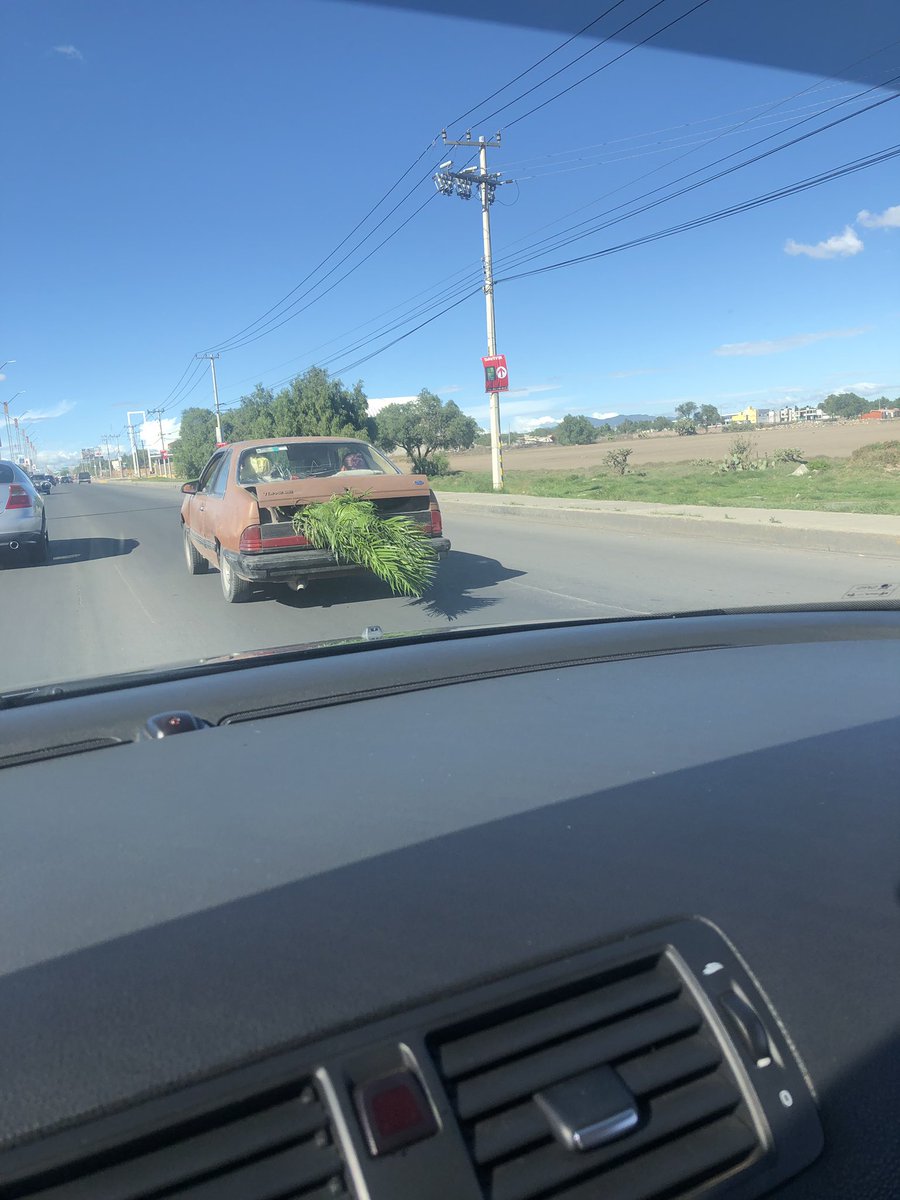 zo_0mbie's tweet photo. He visto autos culeros pero este se lleva las palmas. https://t.co/XWy2Fa7Ot7