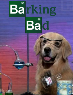 sharper_brain's tweet photo. Such a bad puppy! ๐
#puppy #breakingbad #barkingbad https://t.co/KH4DLrLk2s