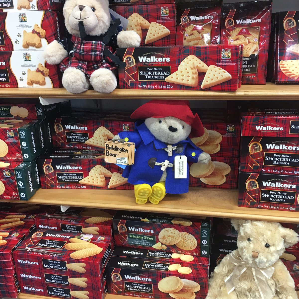 britishemporium's tweet photo. @Shortbread @Specialty_Food #WalkerBear has Texas cousins that hope he comes to visit them at the @britishemporium in @VisitGrapevine #Texas one day soon! https://t.co/PMk08K1uXh