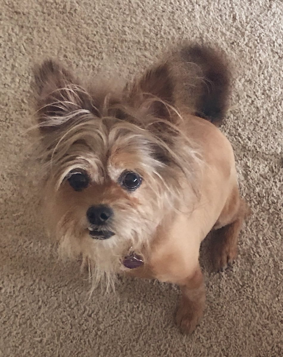 BrookeSummers's tweet photo. Don’t worry she footloose and fancy free. #stillevil #theeyeslie https://t.co/CHcsF9KQuj
