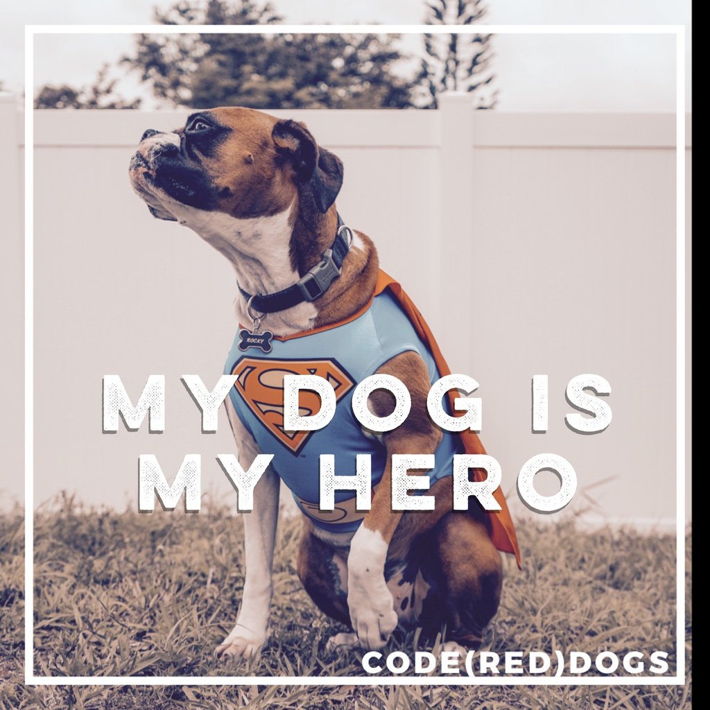 codereddogs's tweet photo. Dogs have an undeniable superpower. They make us happy and fill our lives with joy. 

Is your dog your superhero? 

#adoptdontshop #nokill #shelterdog #codereddogs https://t.co/7dPwsugIlS