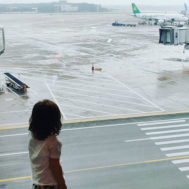 VTBlogger's tweet photo. Nach vier Wochen Urlaub in China wieder zurück im warmen Deutschland. Apropos warm... Auf dem Rückflug hätte die arme Maus 40 Grad Fieber... Perfektes Timing. Trotzdem war der Flug super! Von 12 Stunden hat die Maus 9 Stunden geschlafen. Super! Jetzt sch… https://t.co/NH55dUqxK8 https://t.co/WR5mikpkjF