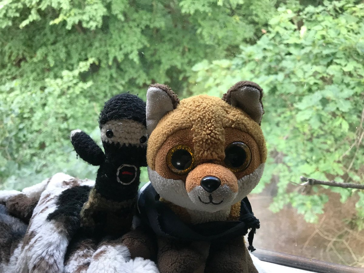 BasTheFox's tweet photo. Good evening from me and #TinySab in treehouse Waka #hambibleibt #HambacherForst https://t.co/XDP1z2TfHc