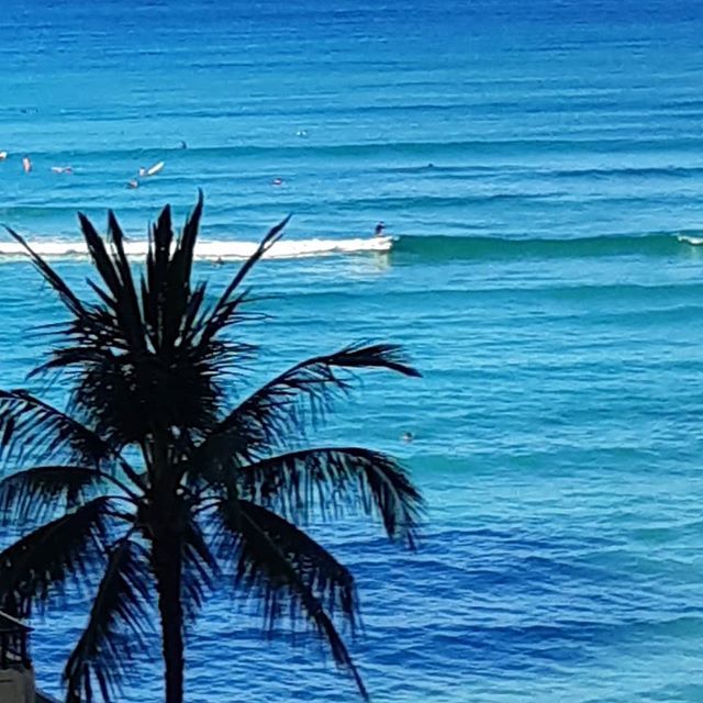 herworldco's tweet photo. Good morning Waikiki #hawaii #holiday #surfinglessontoday #unfilteredphoto #ilovelife https://t.co/2NMIbgZdg3 https://t.co/gCJRH2QVvO