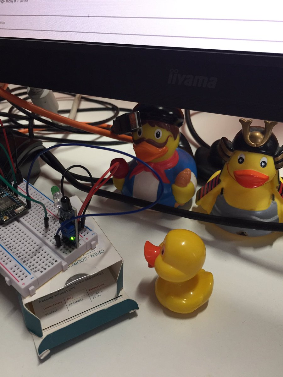 NwajeiObi's tweet photo. Waiting for international help! Remote team to the rescue! ✈️🦆#RemoteDucks #WorkingRemotely #QuackAdventure #IQuackSoIHack #BringingTheFlockTogether #LuckyDucks #QuackHack2019 https://t.co/zUOXXQ26kh