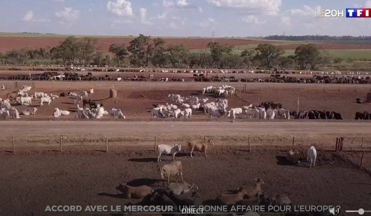 JeunesAgri's tweet photo. L'accord 🇪🇺#Mercosur va déstabiliser nos filières, avec l'importation massive de produits moins chers et qui ne respectent pas nos standards de qualité et de respect de l'environnement @vandaele_sa sur @TF1LeJT https://t.co/8nvBldidag