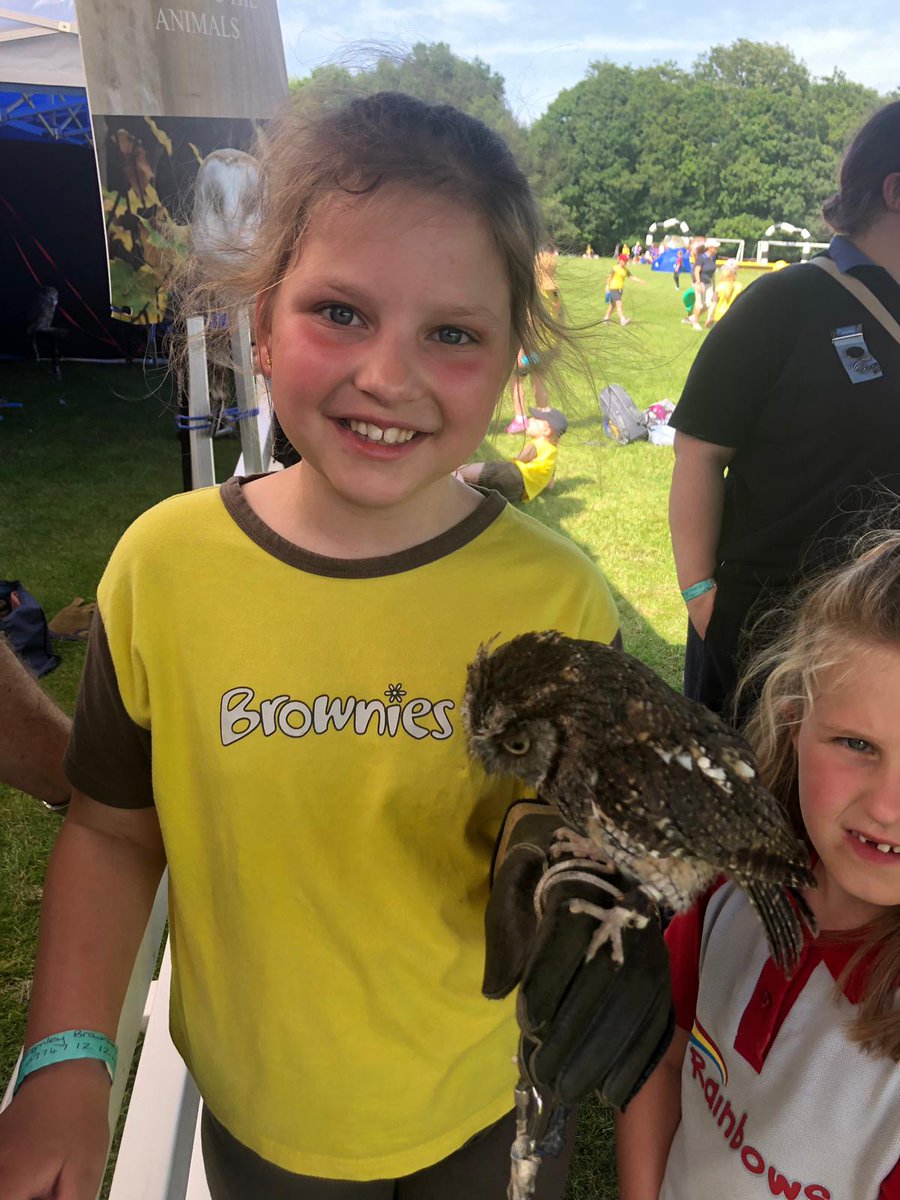 23rd Bromley Brownies tweet media