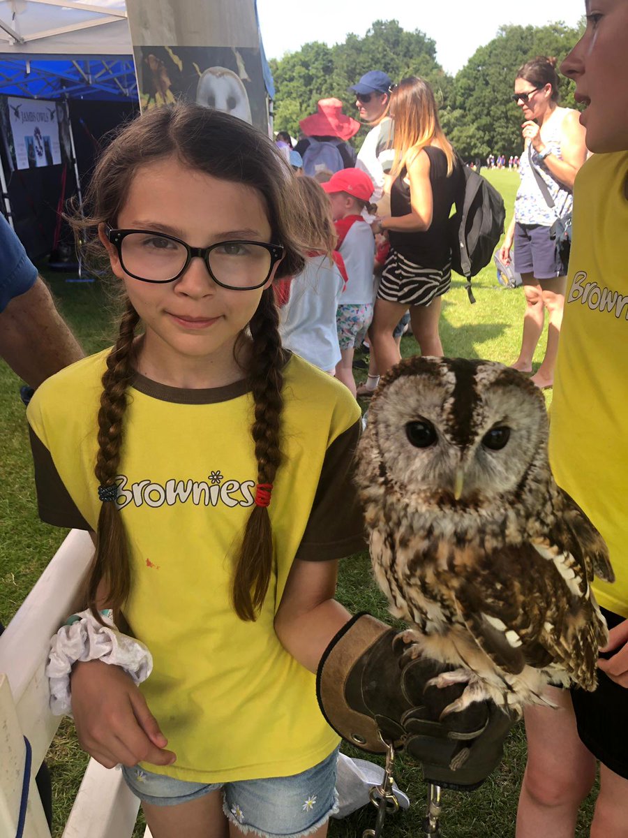 23rd Bromley Brownies tweet media