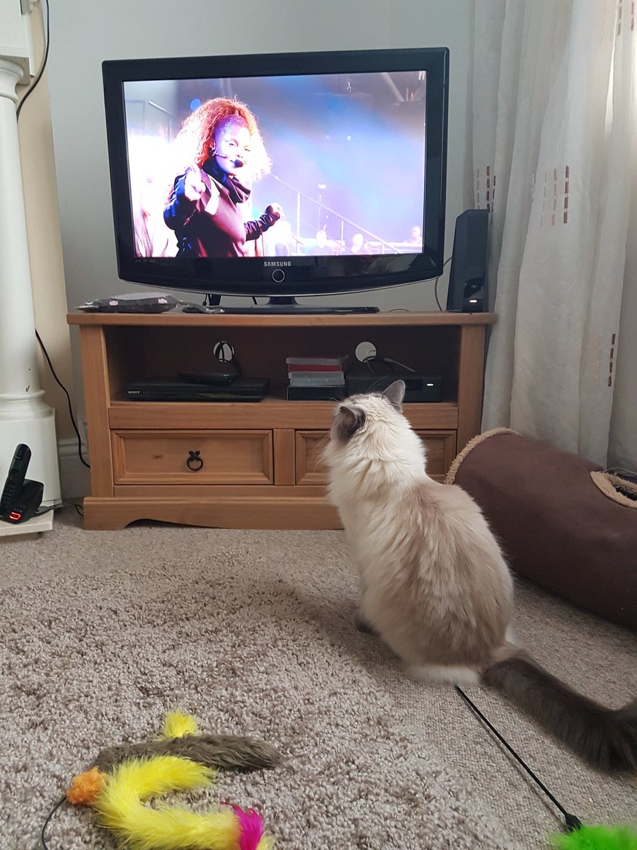 elltell2000's tweet photo. Like the rest of us, Chester is trying to work out if Janet Jackson is actually singing?#JanetJackson #Glastonbury https://t.co/xWL82fd4Xl