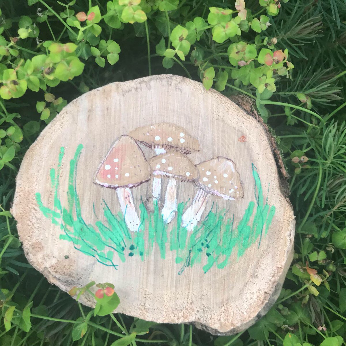 jessiillustrat1's tweet photo. Any mushroom fans out there? I’ve enjoyed the sunshine whilst prepping for next weeks #boundaryway project! Got to love a mushroom 😆 #naturelovers #sunshine #illustrations #kewgardens https://t.co/2slYba5sKt