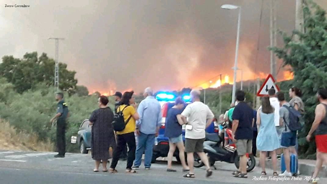 Navalpolicia's tweet photo. Desde #PoliciaLocal de Navalcarnero
Todo nuestro apoyo y solidaridad con los compañeros de los pueblos afectados por este horrible #incendio así como el reconocimiento a todos los servicios de emergencia
🚔👮‍♂️🚒👨‍🚒🚑
#ProteccionCivil
#Bomberos 
#PoliciasLocales
#GuardiaCivil
#UME https://t.co/hymoUKxMPj