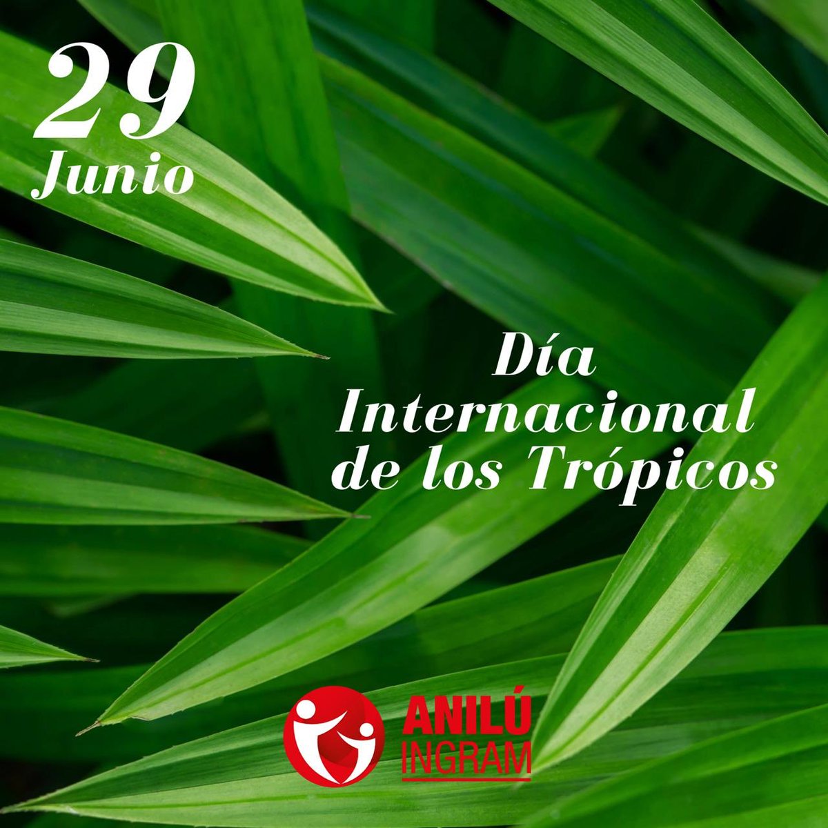 AniluIngram's tweet photo. Las zonas tropicales se enfrentan a  desafíos como el cambio climático, deforestación, explotación maderera, la urbanización y cambios demográficos. #ElDíaInternacionalDeLosTrópicos para dar a conocer los retos y oportunidades a los que nos enfrentamos. 
 #TuVozEnElCongreso https://t.co/wv1JlCJMC0