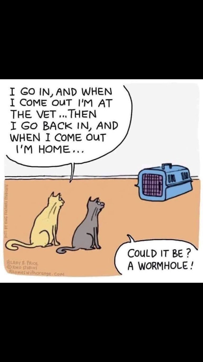 How does you #cat like going to the #vet? Ask us how we can make the visit #FearFree. DYK we are also #CatFriendly? Happy #Caturday 😸🐾🐈🐱