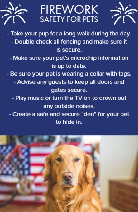 PacificGrovePD's tweet photo. While fireworks aren't permitted, it is best to take precautions to keep furry friends safe. Below are some tips on how to prepare. https://t.co/MQBHOV9Rzc