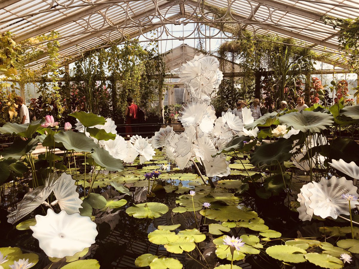 Chihuly: Reflections on nature | Temperate House @kewgardens #chihuly #dalechihuly #art #artist #sculpture #glasssculpture #london #kewgardens #plants #gardens #gardening #summer #nature #botanics #botanical #botanicalscience #temperatehouse