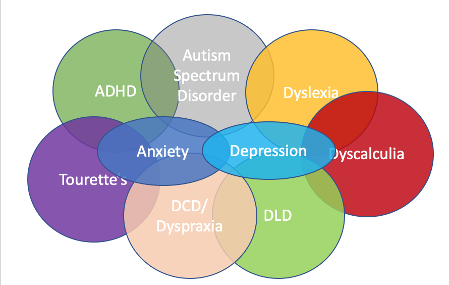 AzizianRahim's tweet photo. As such, #neurodiversity activists reject the idea that #autism should be cured, advocating instead for celebrating autistic forms of communication and #self_expression, and for promoting support systems that allow #autistic people to live as autistic people. https://t.co/3JDFF8ktK1