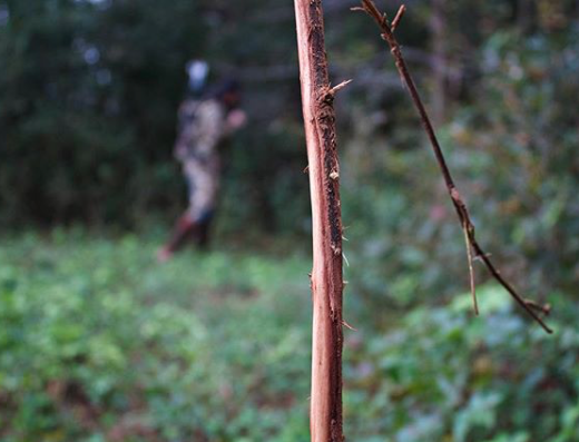 ArcusHunting's tweet photo. SCRAPEEEE.
...
Who's ready to see some of these?
#TheOBSESSEDNeverRest
📷: @lmashtare
#ObsessionBows
#BeAWolf
#ForTheOBSESSED https://t.co/Ll2nirQJpS