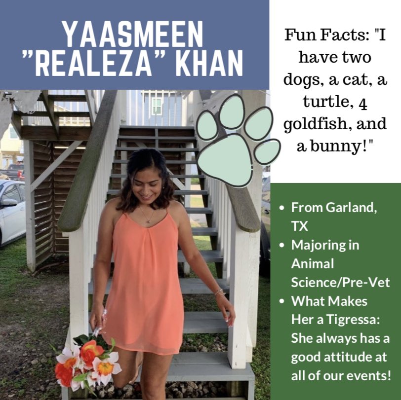 TECH GAMMAS tweet media