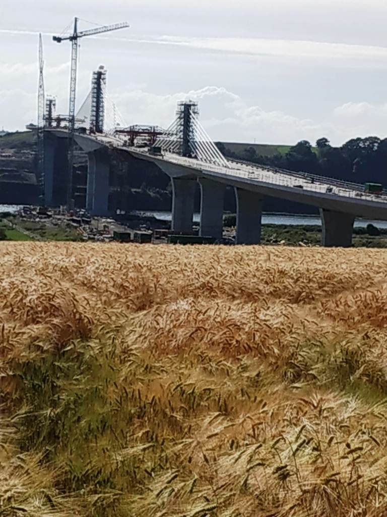 The <a href="/N25Bypass/">N25 New Ross Bypass</a> bridge today from Dunganstown #newross