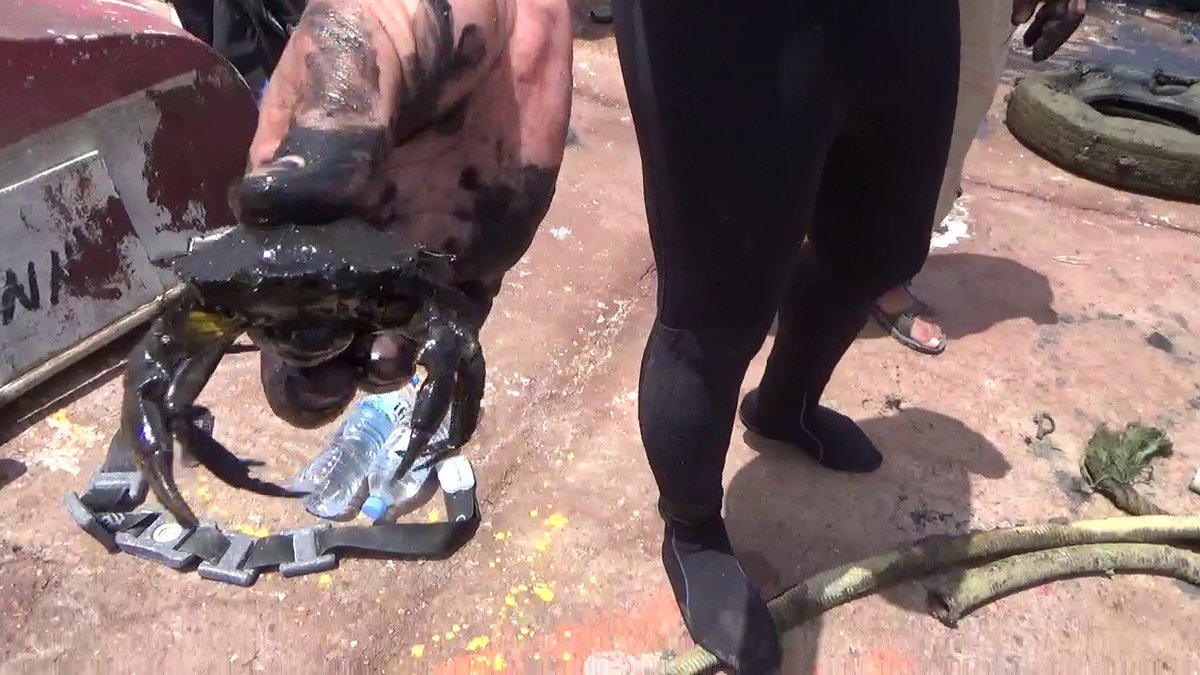 MerabbiM's tweet image. opération port bleu bouzajare algerie