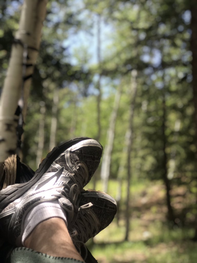 rothrandy1's tweet photo. I anyone needs a place where they can get away and relax, we know the Perfect place. @DeerCreek_Camp in Bailey,CO. Look them up on @Airbnb and plan your trip now. #colorado #relax #travel #mountains #hiking #aspens #getaway #summerfun #summer #beautiful #fun #intentionallysimple https://t.co/tMM3Gwi7as