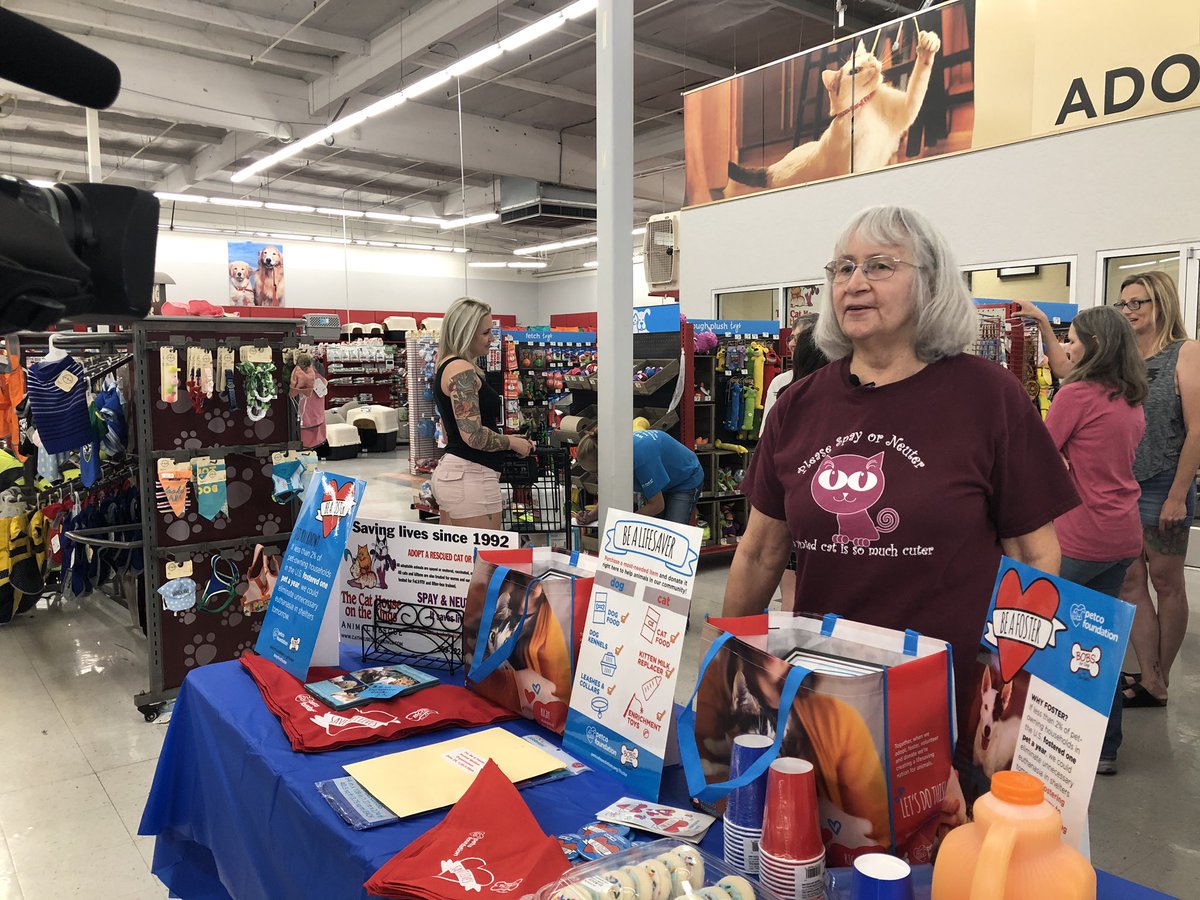 cathouseotkings's tweet photo. @cathouseotkings foster mentor and coordinator, Kathy Scheer, is talking with @ABC30 about the importance of fostering. We are in the middle of kitten season. #BeALifesaver #beafoster #myfirstfoster #PetcoFamily https://t.co/RzlSjZLMda
https://t.co/xK7ZjOEy1x