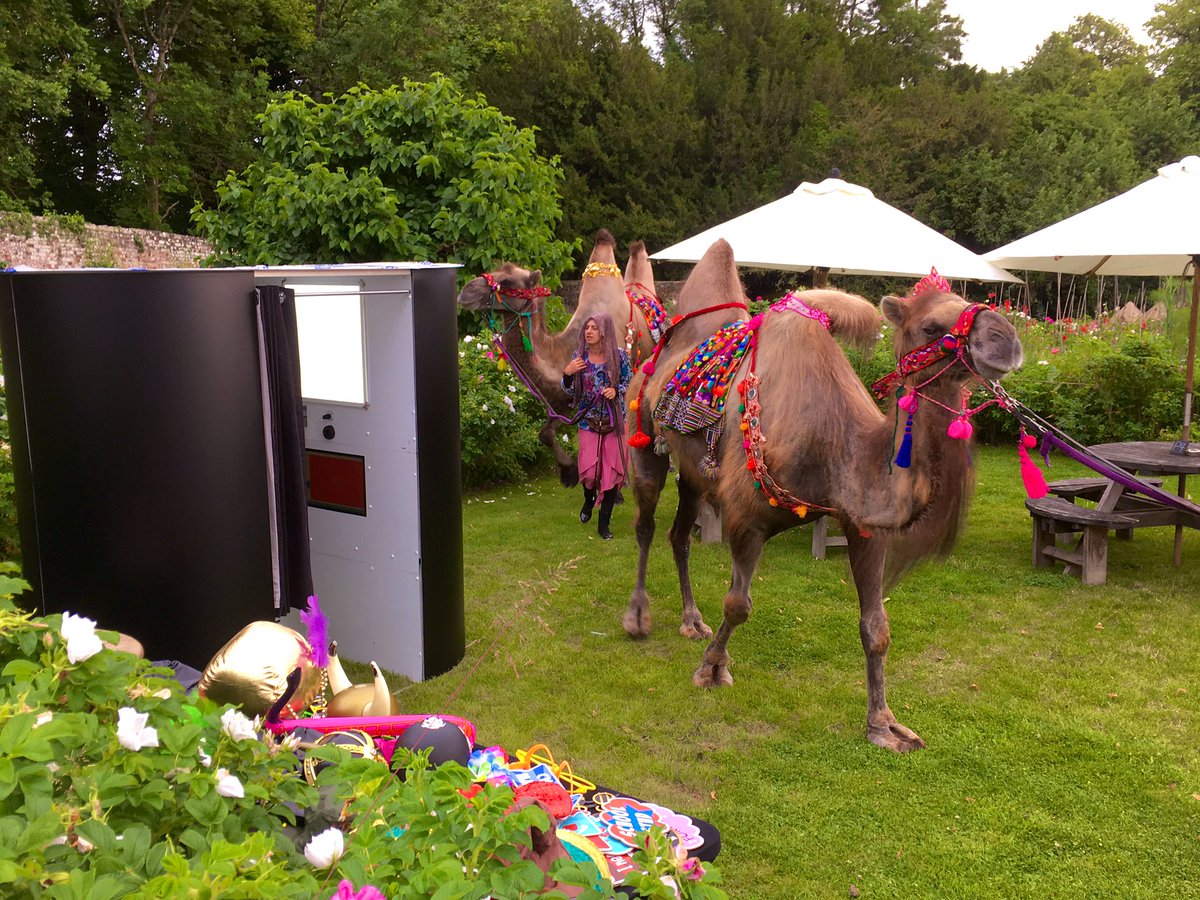 InToEntertain's tweet image. Standard INTO event tonight.... #camel #photobooth #arabiannights