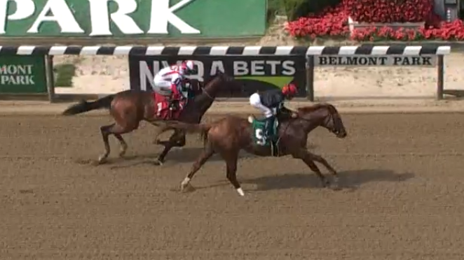 PhippsStableFan's tweet photo. WINNER! #PhippsStable's #Performer looked very good in his 3yo debut Saturday, breaking his maiden in Belmont R6. He broke cleanly from the gate and stalked the pace before easily pulling ahead in the final furlong. He's a very promising son of @WinStarFarm stallion #Speightstown https://t.co/F1I1EEBTYz