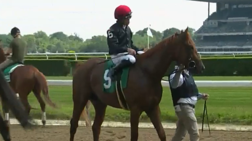 PhippsStableFan's tweet photo. WINNER! #PhippsStable's #Performer looked very good in his 3yo debut Saturday, breaking his maiden in Belmont R6. He broke cleanly from the gate and stalked the pace before easily pulling ahead in the final furlong. He's a very promising son of @WinStarFarm stallion #Speightstown https://t.co/F1I1EEBTYz