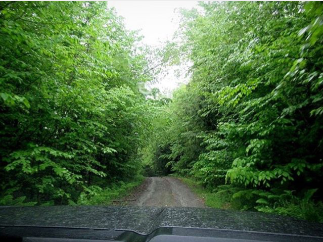 msouliere's tweet photo. New blog post up! Bigfoot in Maine update, summer musings.  :D  https://t.co/tquXnqP1Yw https://t.co/Nd8t3l9lV9