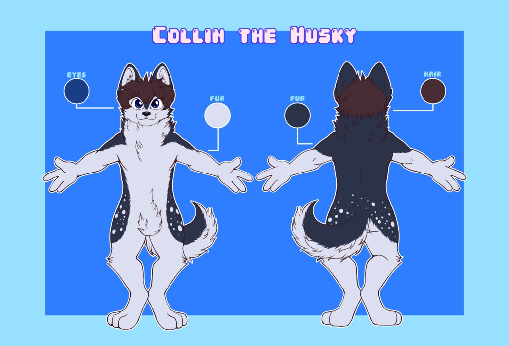 Collin The Husky tweet media
