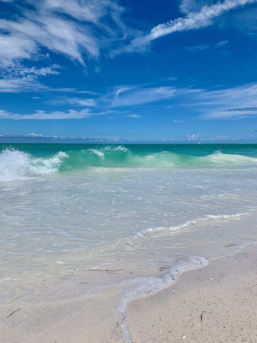 Today was awesome! We swam with a manatee and watched dolphins jump waves💯🐬 🌊 
.
.
Life in Florida is great😎🤙🏼
#familyfirst #weekendvibes #beanpoint #annamariaisland #florida #floridafun #floridaliving #floridalifestyle #floridabeaches #beachlife