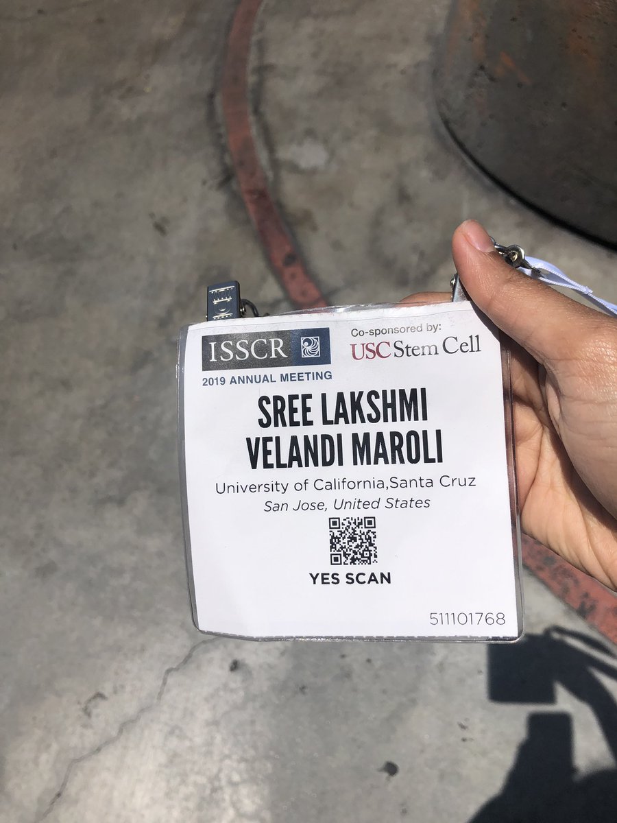 Sreelakshmi Velandi Maroli (@sreelakshmiinki) on Twitter photo #ISSCR19 has been great. Motivated by all the inspirational stem cell talks. #stemcellresearch #ISSCR19 has been great. Motivated by all the inspirational stem cell talks. #stemcellresearch
