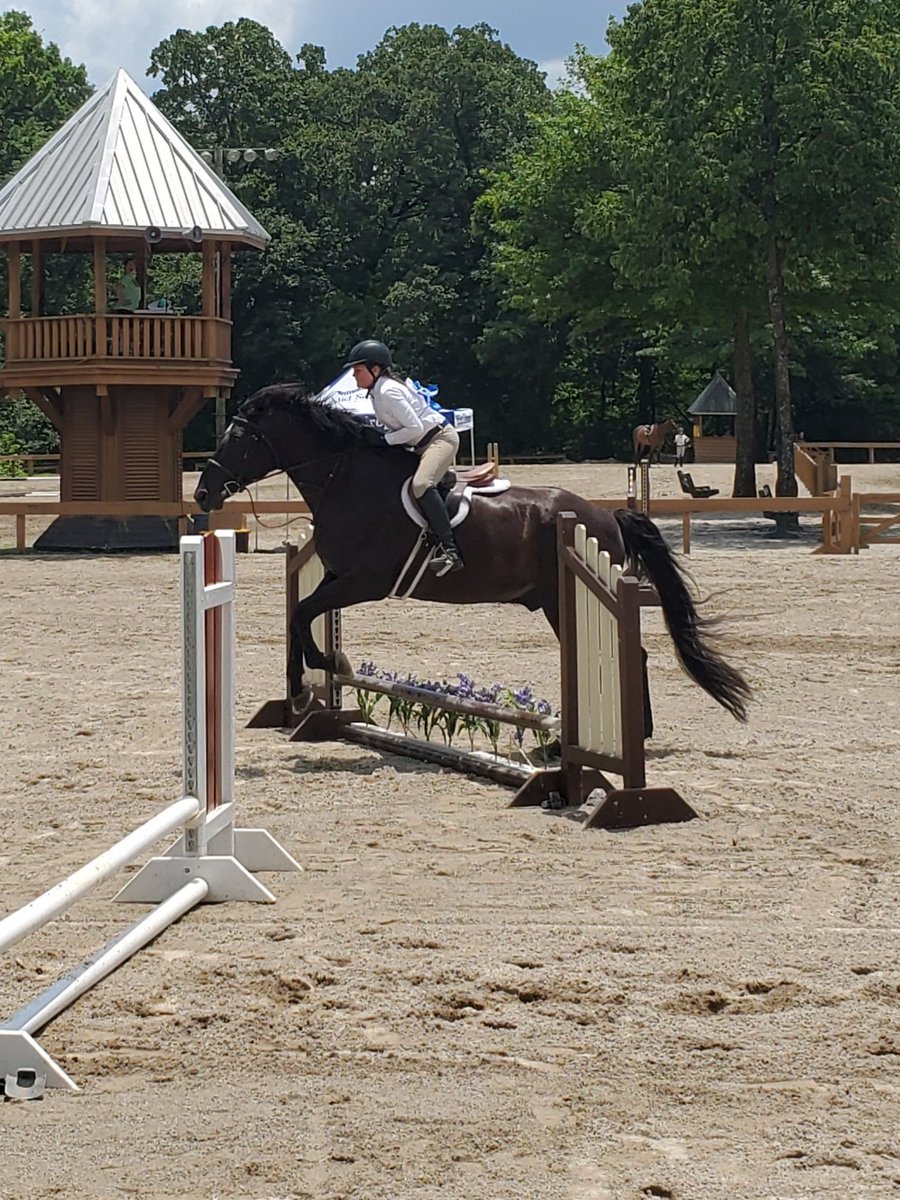 neal_hanna22's tweet photo. Another show in the books for @avery_hanna_ our crew had fun watching her and Sir Bob do their thing https://t.co/4d7qKB0FCF