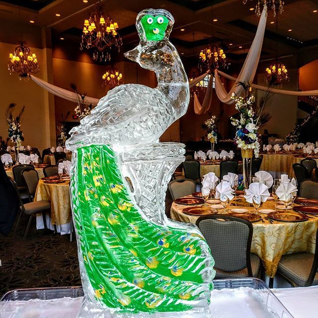 IceLabUSA's tweet image. Posted from Instagram #icesculpture #icecarving We had the honor to tackle this peacock project for a lovely MD couple today!
.
.
.
.
.
.
.
.
.
.
.
.
.
.
.
.
.
.
.
.
.
#ice #icy #icelab #icesculpture #icecarving #wedding #eventplanner #partyplanner #iceupson #freezerwork #fa…